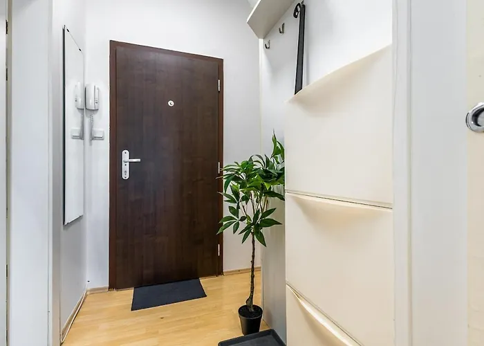 Apartment Free Parking - Adm Warm Spacious In Center, Coffee, Ac, Wifi *